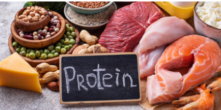 Vad är protein? Vi går igenom allt du behöver veta!